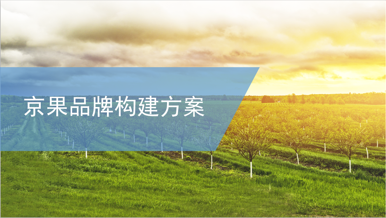 京果品牌構建方案