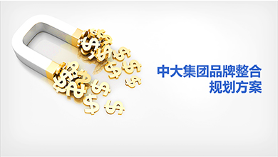 中大集團品牌整合方案