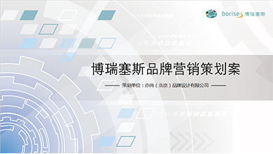 博瑞塞斯營銷策劃案