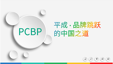 金正品牌戰略案