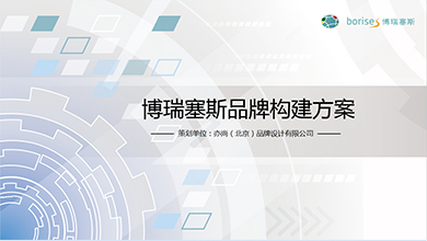 博瑞塞斯品牌構建案
