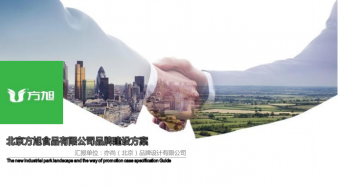 方旭食品品牌構建方案