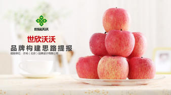 世欣沃沃品牌構建方案